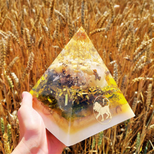 design_ohne_titel_71